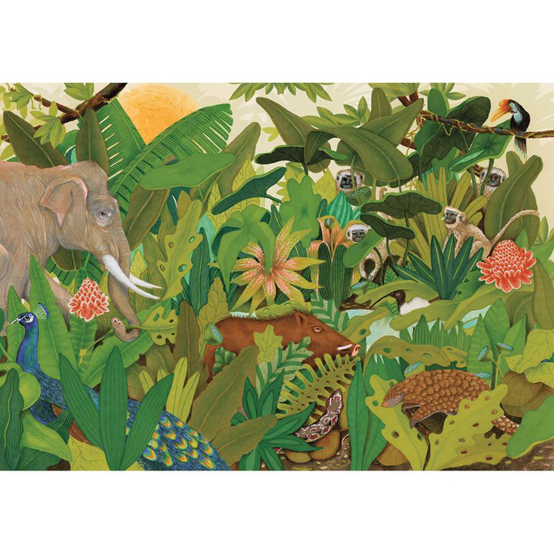 djeco puzzel hidden in nature - 1000st - Image 4