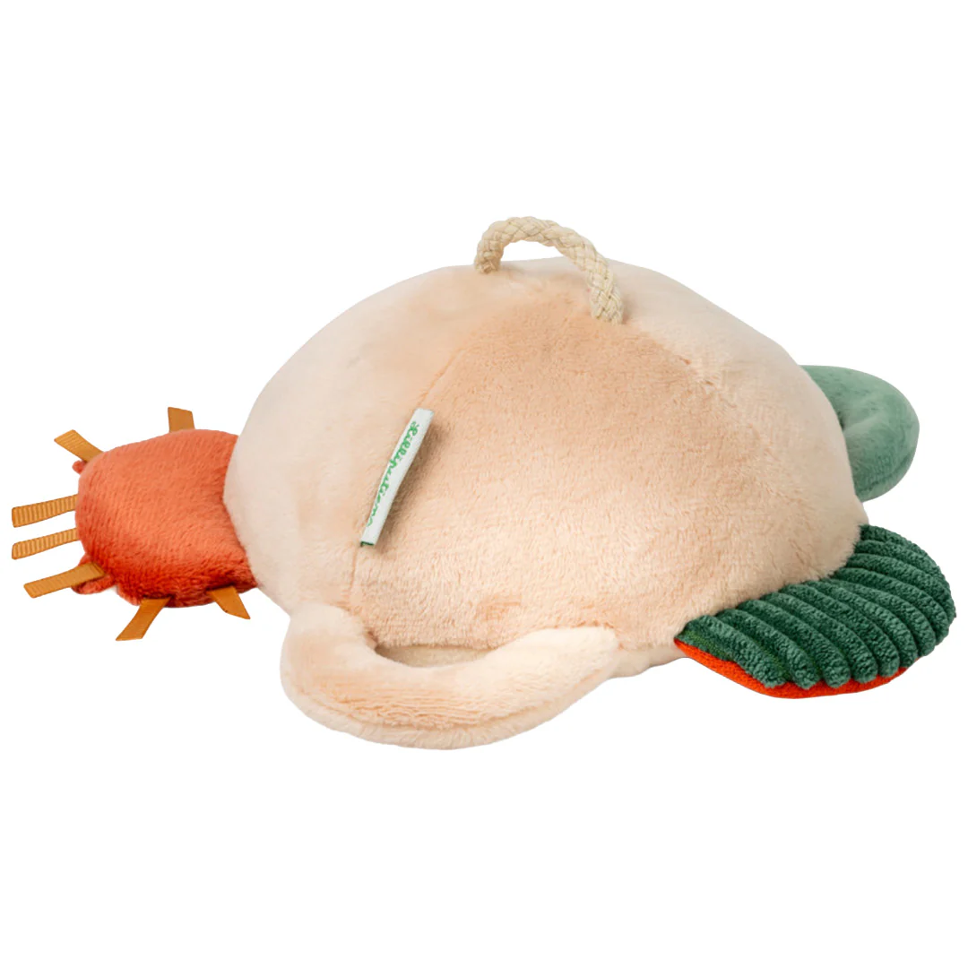 lilliputiens activiteitenspiegel - jack de leeuw - Image 3