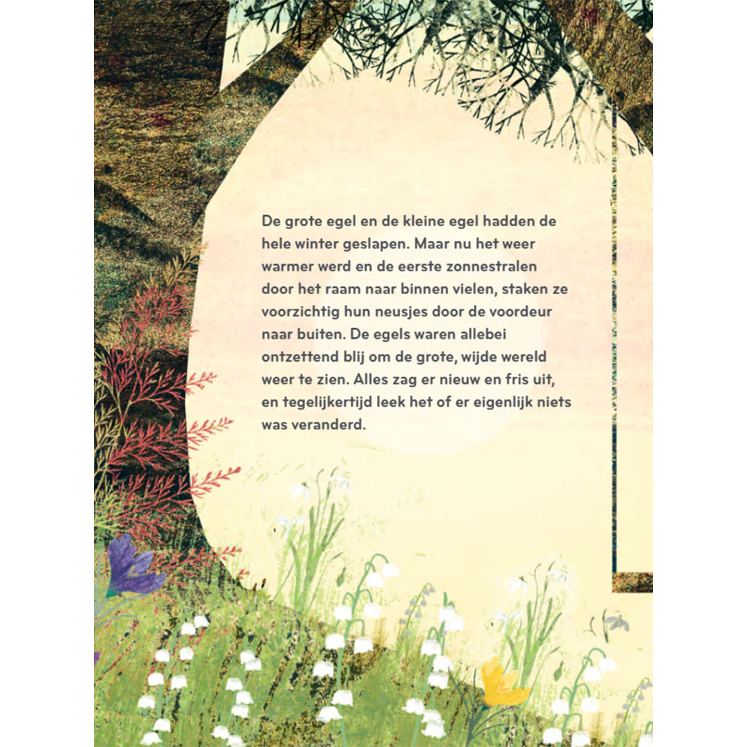 uitgeverij hoogland & van klaveren nog een keer - Image 5